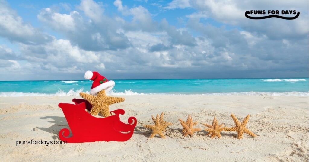 50 Hilarious Christmas Beach Puns to Make Your Holiday Break Extra Fun 4 Christmas Beach Puns for Social Media