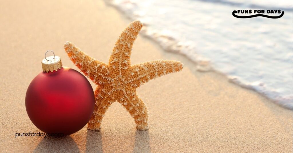 50 Hilarious Christmas Beach Puns to Make Your Holiday Break Extra Fun 1 Christmas Beach Puns to Brighten Your Holiday