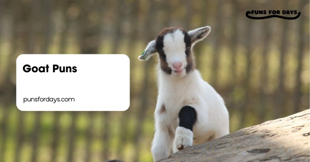 Goat Puns